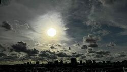 Kensington Park Condominium (D19), Condominium #502398931